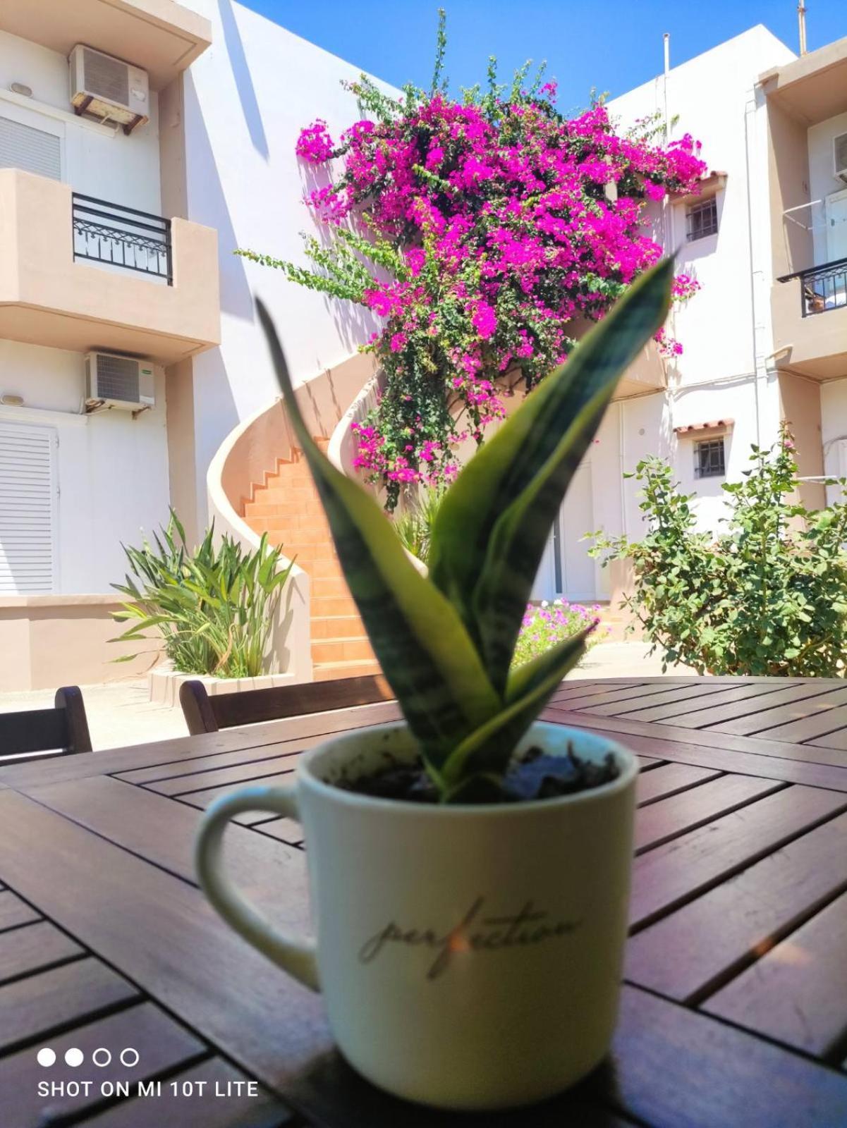 Yannis Apartments Amoudara  Экстерьер фото