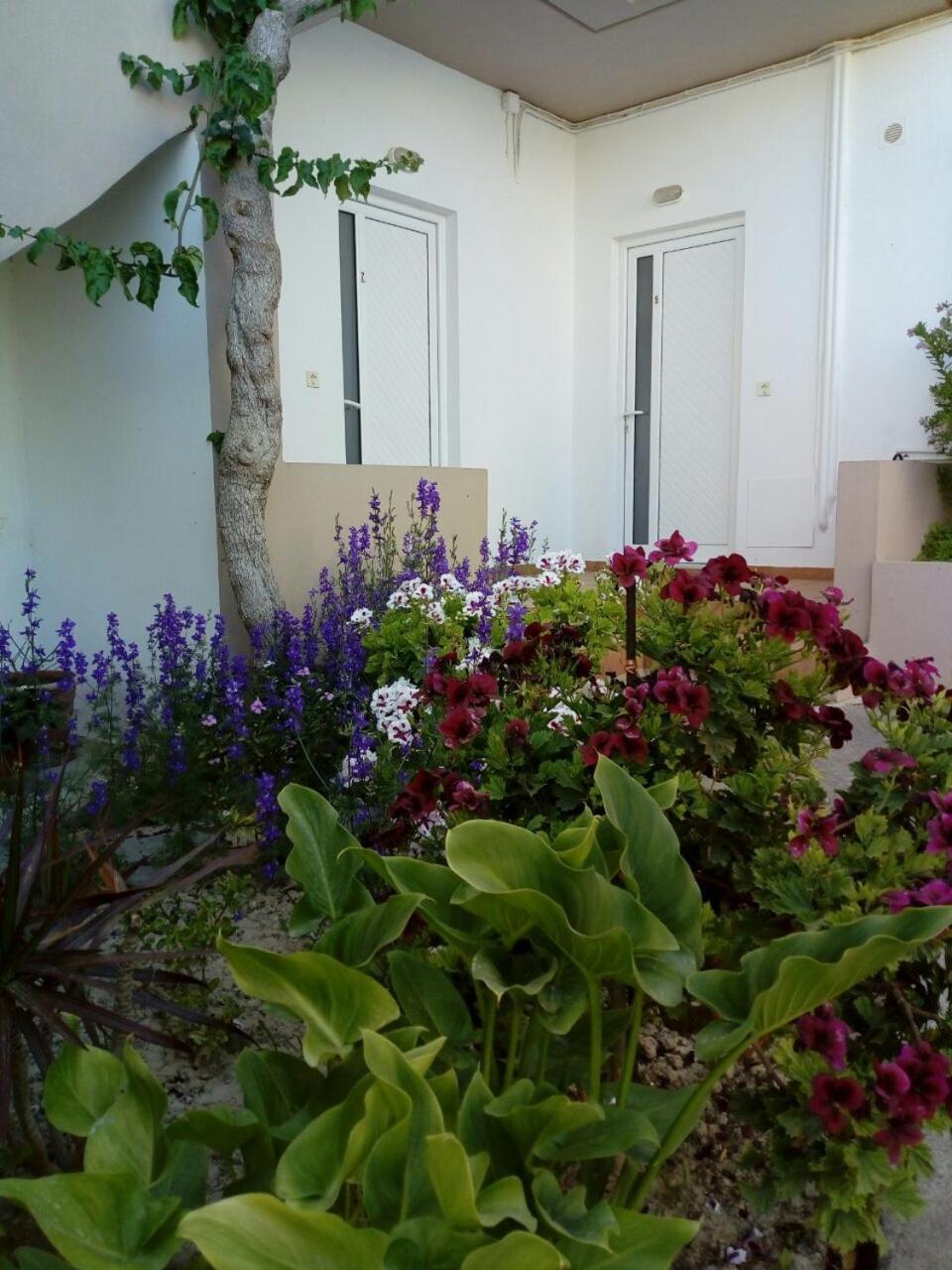 Yannis Apartments Amoudara  Экстерьер фото